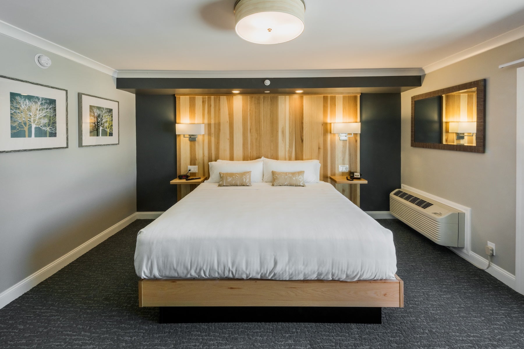 Guest room with a king bed, wood-slat headboard wall and framed birch-tree prints on gray carpet